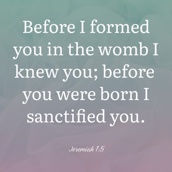 Before I formed you in the womb I knew you; before you were born I sanctified you. - Jeremiah 1:5