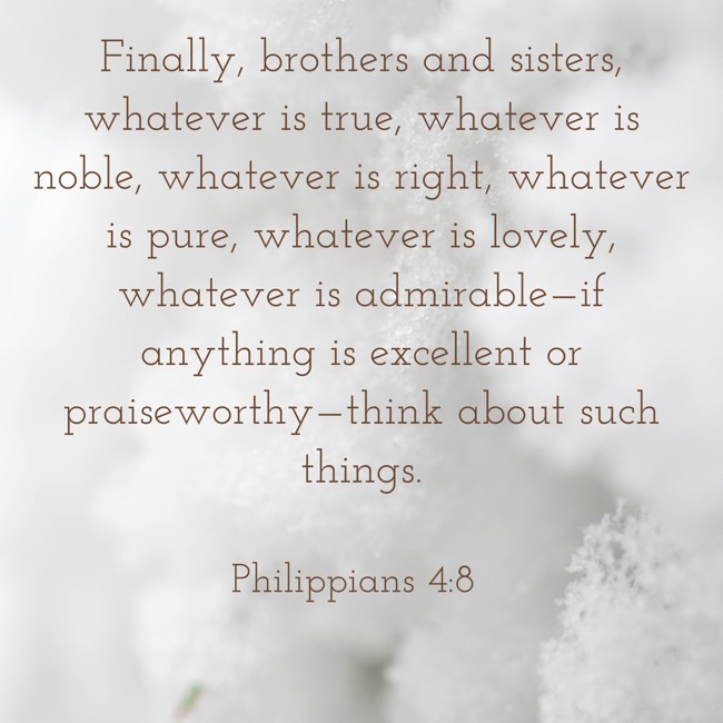 Finally, brothers and sisters, whatever is true, whatever is noble, whatever is right, whatever is pure, whatever is lovely, whatever is admirable—if anything is excellent or praiseworthy—think about such things. - Philippians 4:8