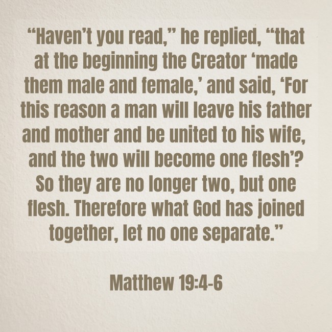 “Haven’t you read,” he replied, “that at the beginning the Creator ‘made them male and female,’ and said, ‘For this reason a man will leave his father and mother and be united to his wife, and the two will become one flesh’? So they are no longer two, but one flesh. Therefore what God has joined together, let no one separate.” - Matthew 19:4-6