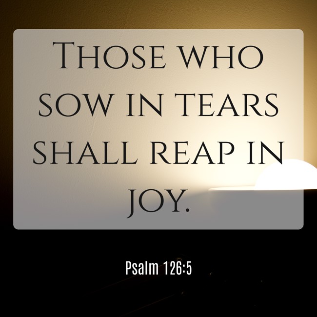 Those who sow in tears shall reap in joy. - Psalm 126:5