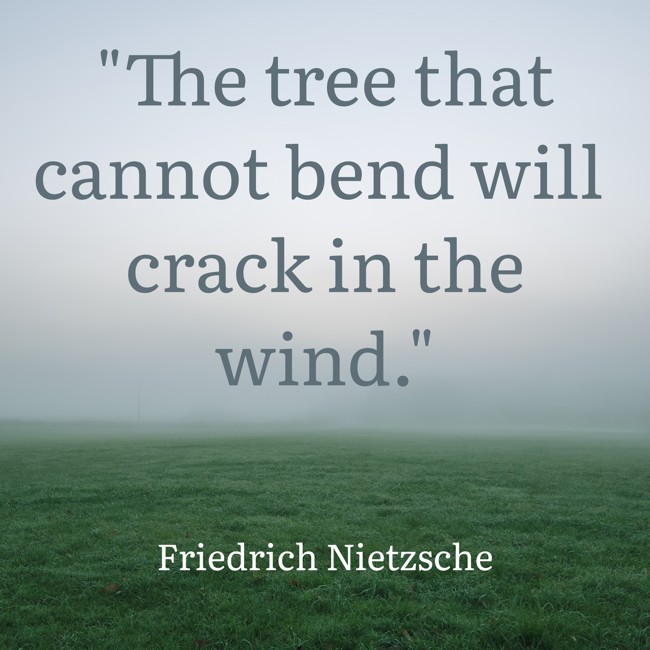 The tree that cannot bend will crack in the wind. - Friedrich Nietzsche