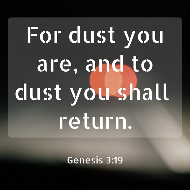 For dust you are, and to dust you shall return. - Genesis 3:19