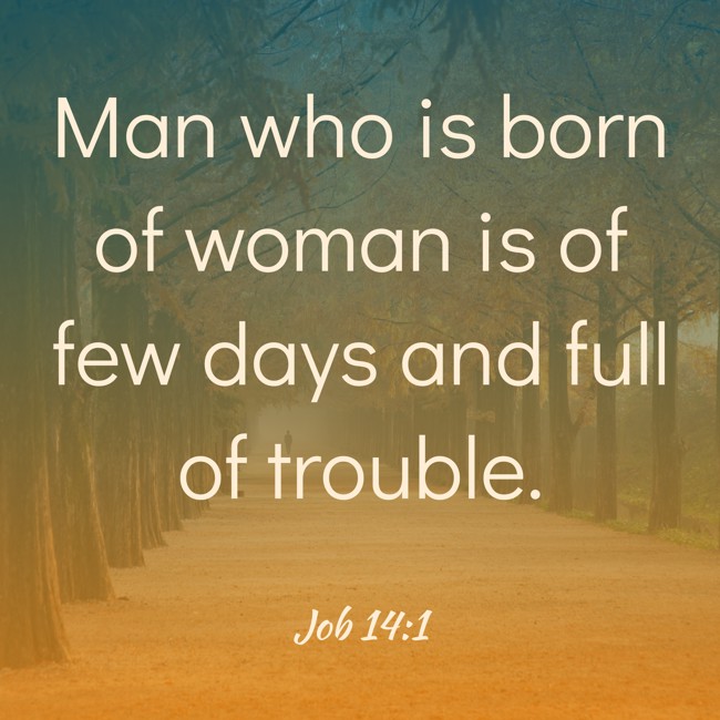 Man who is born of woman is of few days and full of trouble. - Job 14:1