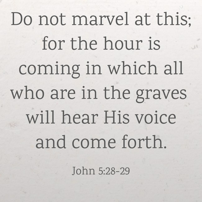Do not marvel at this; for the hour is coming in which all who are in the graves will hear His voice and come forth. - John 5:28-29