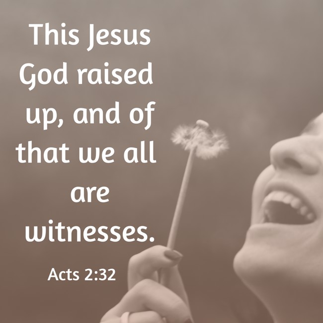 This Jesus God raised up, and of that we all are witnesses. - Acts 2:32