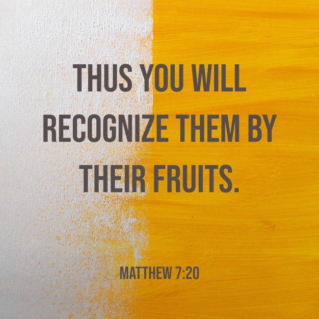 Thus you will recognize them by their fruits. - Matthew 7:20