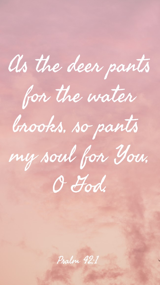 As the deer pants for the water brooks, so pants my soul for You, O God. - Psalm 42:1