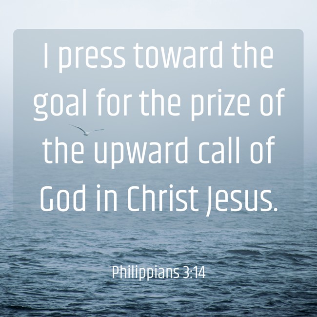 I press toward the goal for the prize of the upward call of God in Christ Jesus. - Philippians 3:14