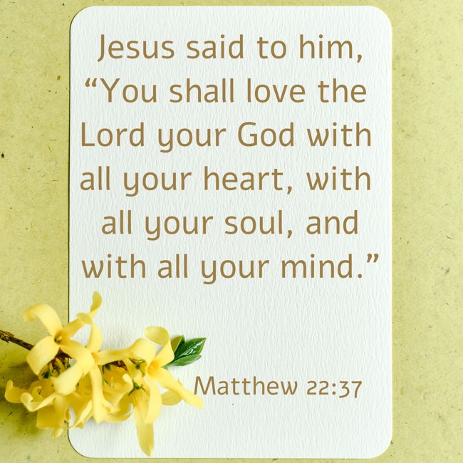 Jesus said to him, “You shall love the Lord your God with all your heart, with all your soul, and with all your mind.” - Matthew 22:37