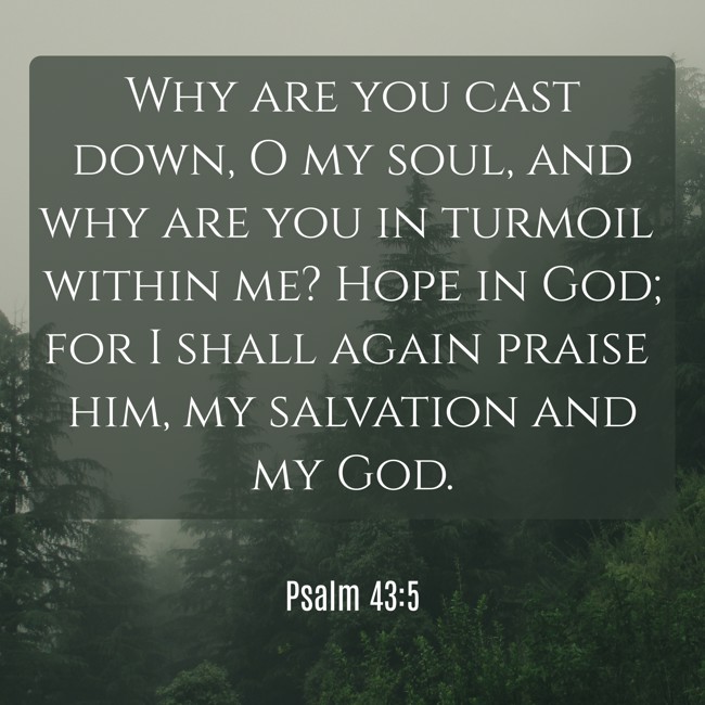  Why are you cast down, O my soul, and why are you in turmoil within me? Hope in God; for I shall again praise him, my salvation and my God.   - Psalm 43:5 