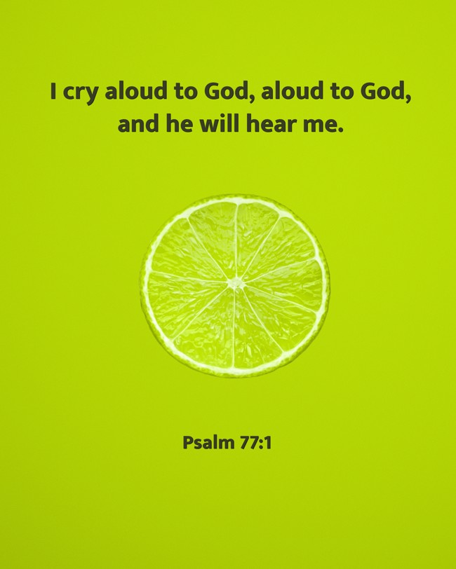  I cry aloud to God, aloud to God, and he will hear me.   - Psalm 77:1 