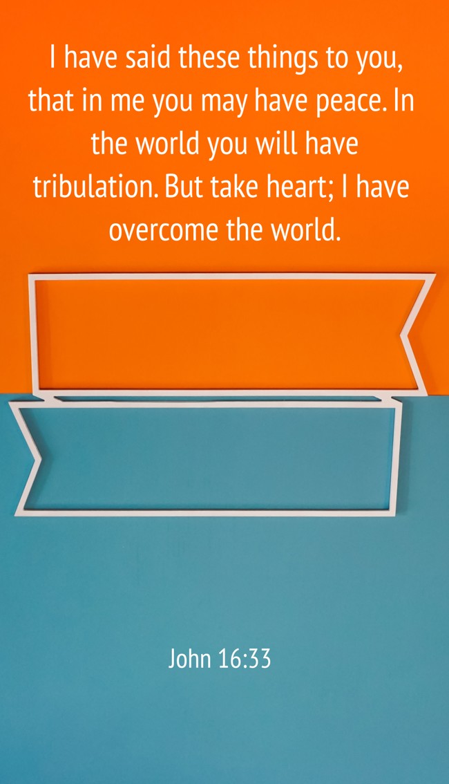 I have said these things to you, that in me you may have peace. In the world you will have tribulation. But take heart; I have overcome the world.   - John 16:33 