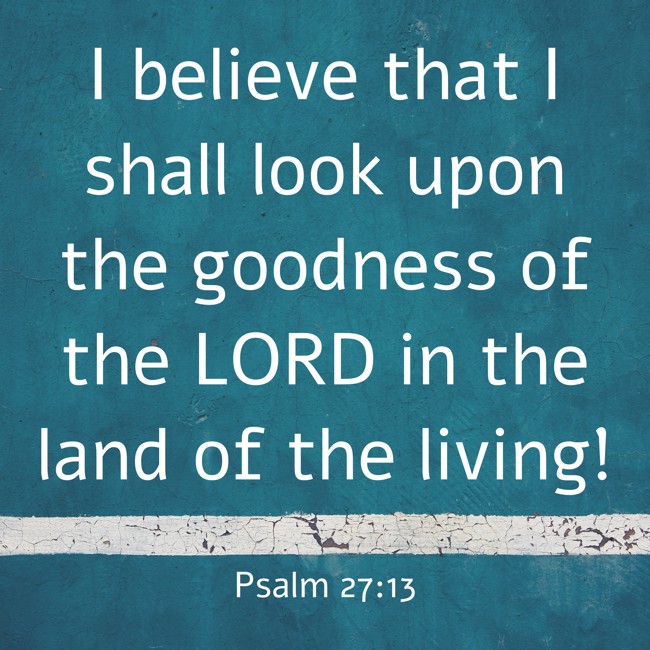  I believe that I shall look upon the goodness of the LORD in the land of the living!   - Psalm 27:13 