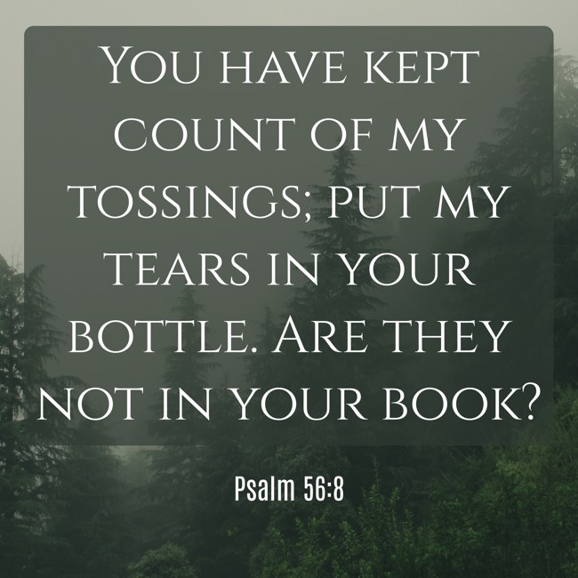  You have kept count of my tossings; put my tears in your bottle. Are they not in your book?   - Psalm 56:8 