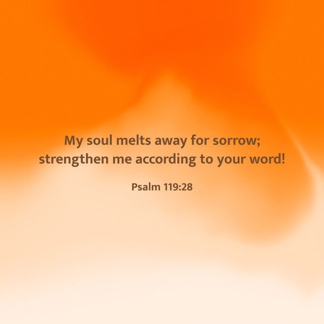  My soul melts away for sorrow; strengthen me according to your word!   - Psalm 119:28 