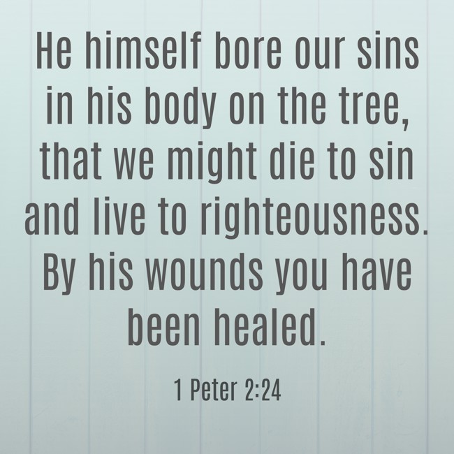 He himself bore our sins in his body on the tree, that we might die to sin and live to righteousness. By his wounds you have been healed. - 1 Peter 2:24