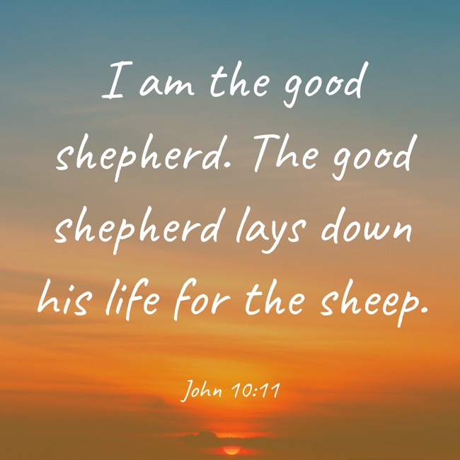 I am the good shepherd. The good shepherd lays down his life for the sheep. - John 10:11