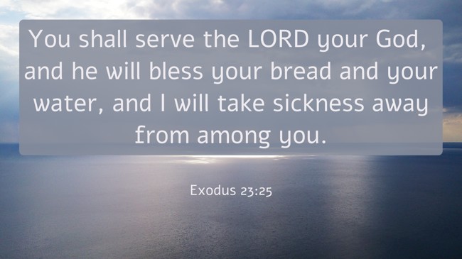 You shall serve the LORD your God, and he will bless your bread and your water, and I will take sickness away from among you. - Exodus 23:25