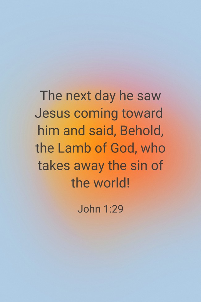 The next day he saw Jesus coming toward him and said, Behold, the Lamb of God, who takes away the sin of the world! - John 1:29