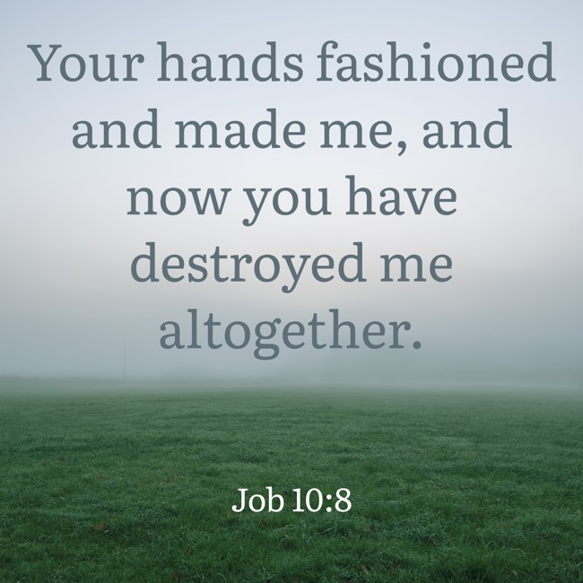 Your hands fashioned and made me, and now you have destroyed me altogether. - Job 10:8