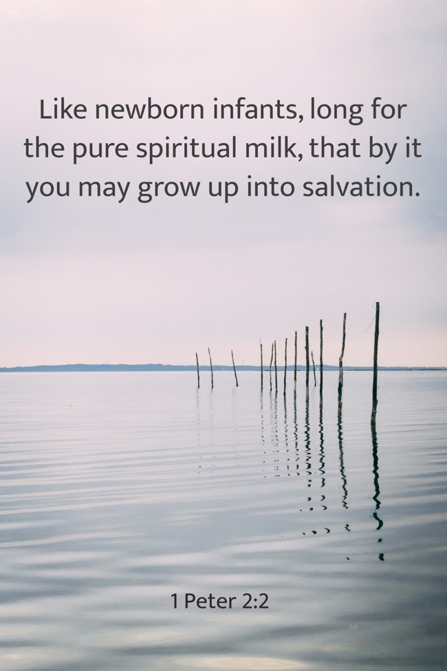 Like newborn infants, long for the pure spiritual milk, that by it you may grow up into salvation. - 1 Peter 2:2