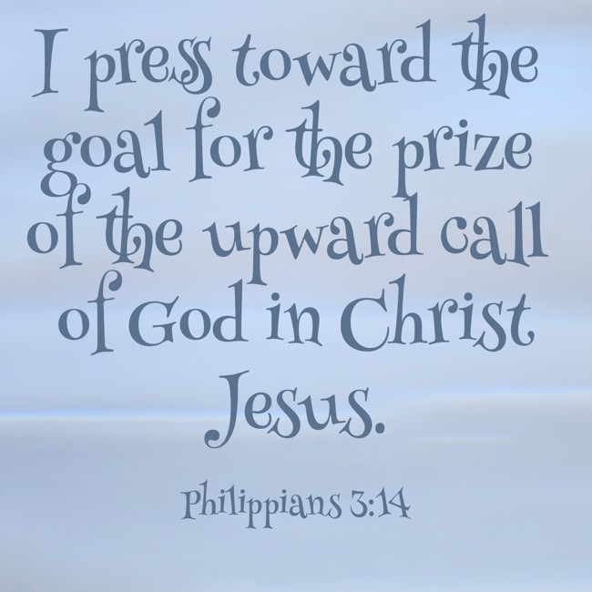  I press toward the goal for the prize of the upward call of God in Christ Jesus.   - Philippians 3:14 