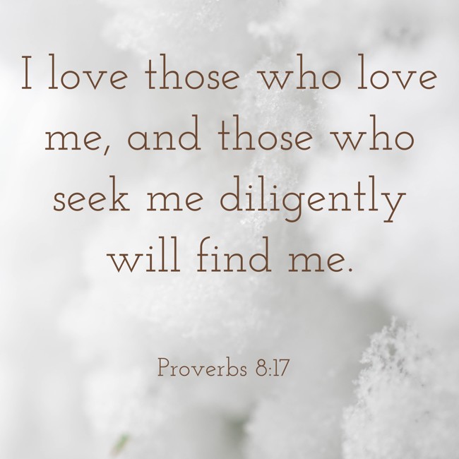  I love those who love me, and those who seek me diligently will find me.   - Proverbs 8:17 