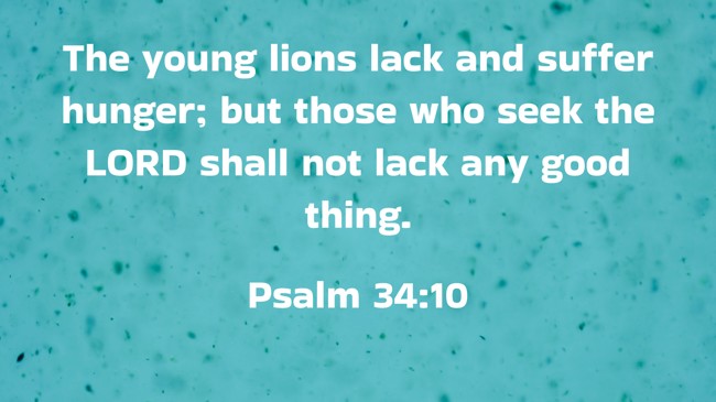  The young lions lack and suffer hunger; but those who seek the LORD shall not lack any good thing.   - Psalm 34:10 