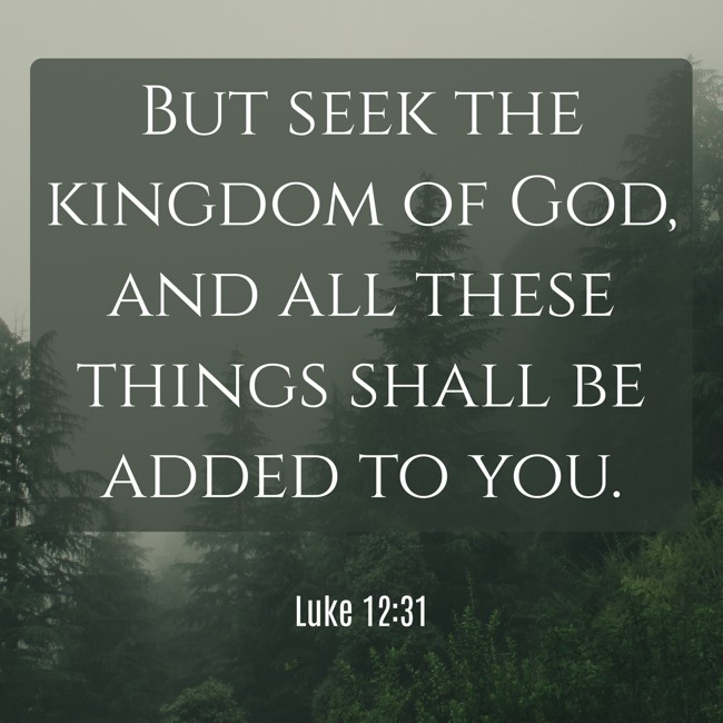  But seek the kingdom of God, and all these things shall be added to you.   - Luke 12:31 