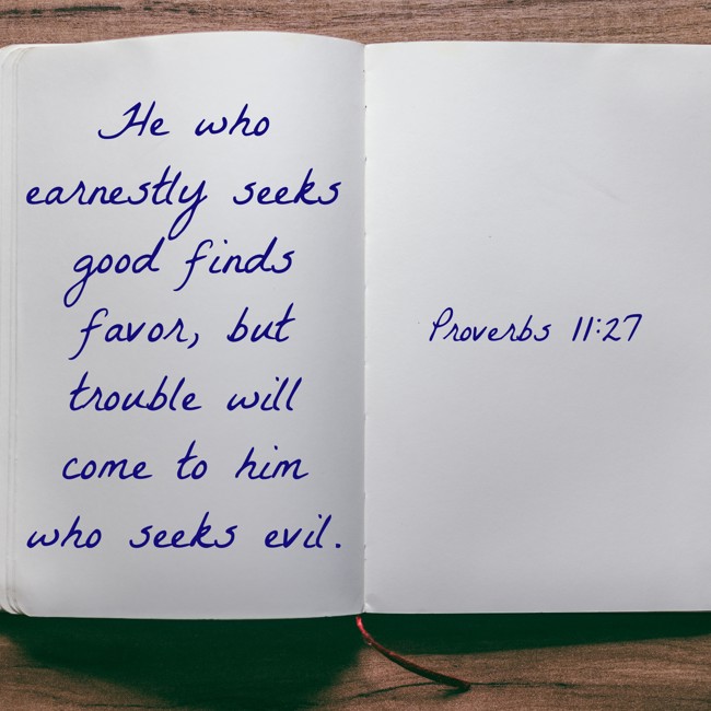  He who earnestly seeks good finds favor, but trouble will come to him who seeks evil.   - Proverbs 11:27 