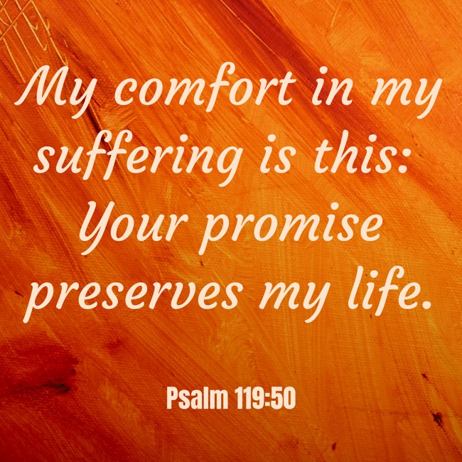 My comfort in my suffering is this: Your promise preserves my life. - Psalm 119:50