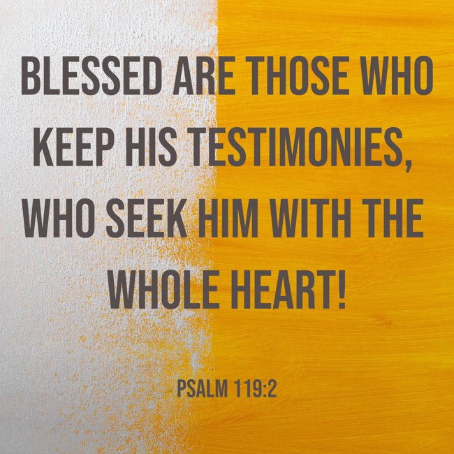  Blessed are those who keep His testimonies, who seek Him with the whole heart!   - Psalm 119:2 