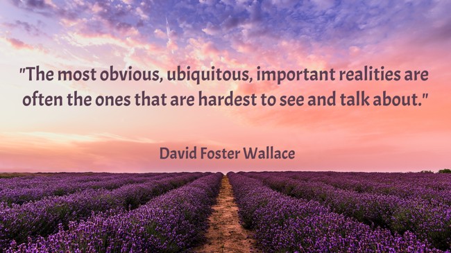  The most obvious, ubiquitous, important realities are often the ones that are hardest to see and talk about. - David Foster Wallace 