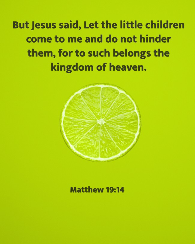 But Jesus said, Let the little children come to me and do not hinder them, for to such belongs the kingdom of heaven.   - Matthew 19:14 