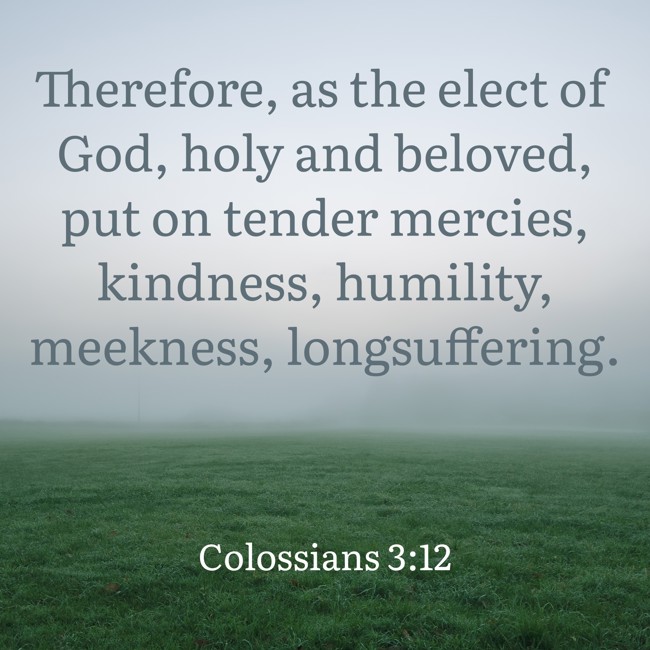 Therefore, as the elect of God, holy and beloved, put on tender mercies, kindness, humility, meekness, longsuffering. - Colossians 3:12