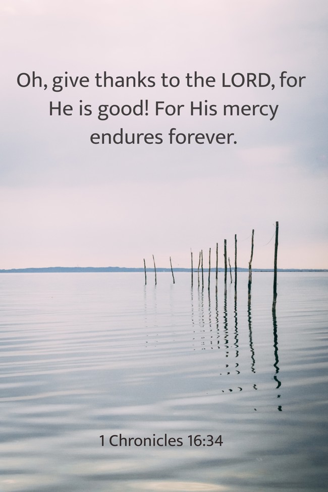 Oh, give thanks to the LORD, for He is good! For His mercy endures forever. - 1 Chronicles 16:34