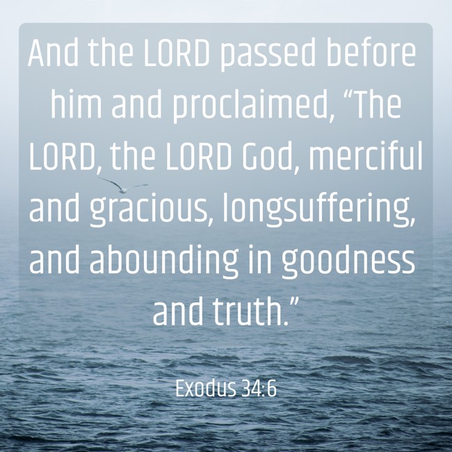 And the LORD passed before him and proclaimed, “The LORD, the LORD God, merciful and gracious, longsuffering, and abounding in goodness and truth.” - Exodus 34:6