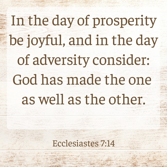  In the day of prosperity be joyful, and in the day of adversity consider: God has made the one as well as the other.   - Ecclesiastes 7:14 