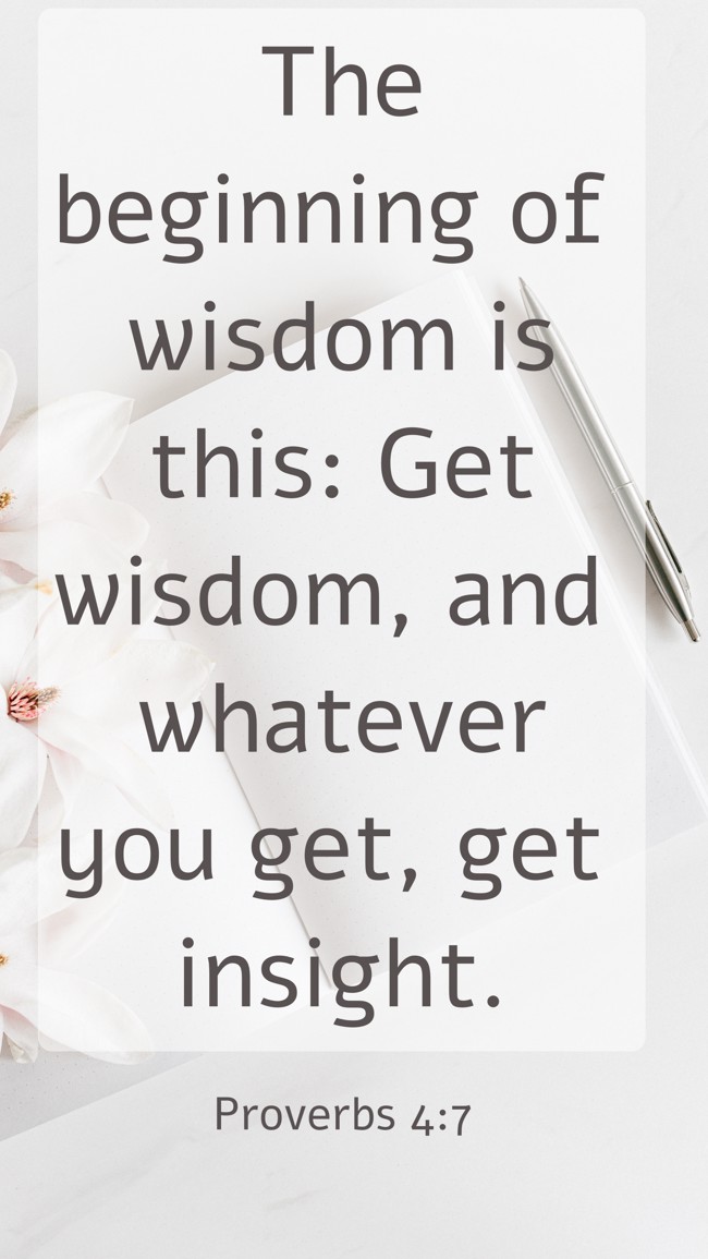  The beginning of wisdom is this: Get wisdom, and whatever you get, get insight.   - Proverbs 4:7 