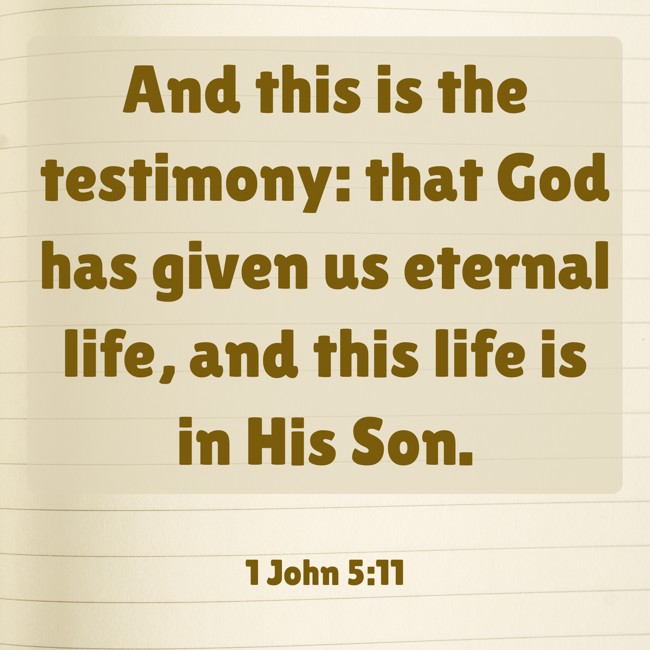 And this is the testimony: that God has given us eternal life, and this life is in His Son. - 1 John 5:11