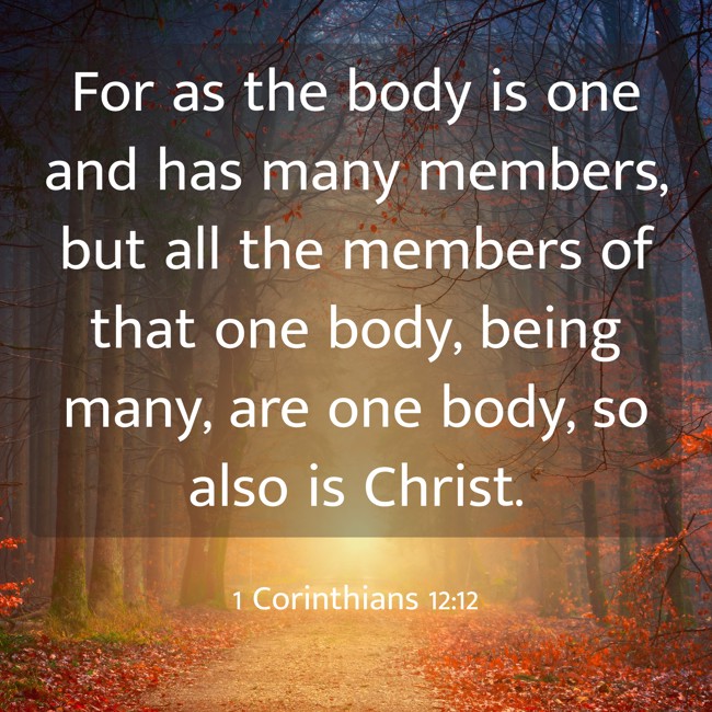 For as the body is one and has many members, but all the members of that one body, being many, are one body, so also is Christ. - 1 Corinthians 12:12