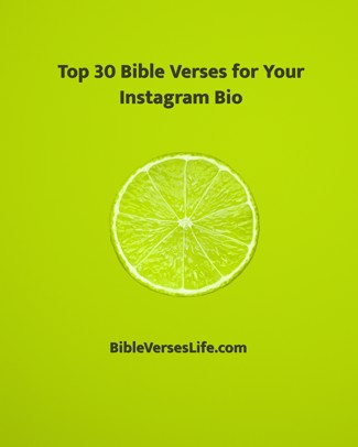 Top 30 Bible Verses for Your Instagram Bio