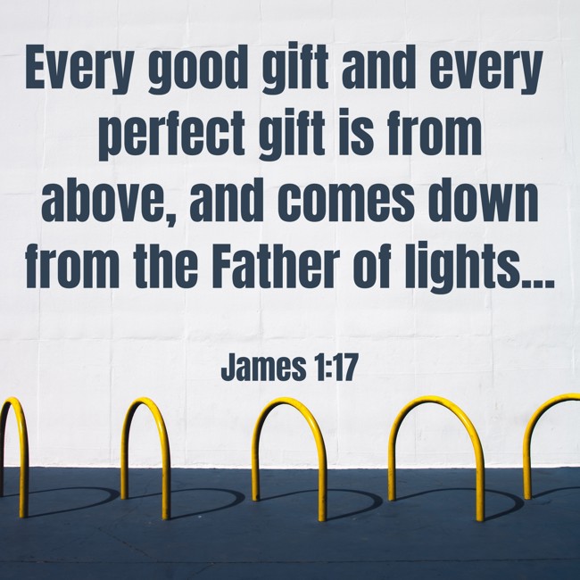 Every good gift and every perfect gift is from above, and comes down from the Father of lights... - James 1:17