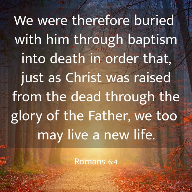 We were therefore buried with him through baptism into death in order that, just as Christ was raised from the dead through the glory of the Father, we too may live a new life. - Romans 6:4