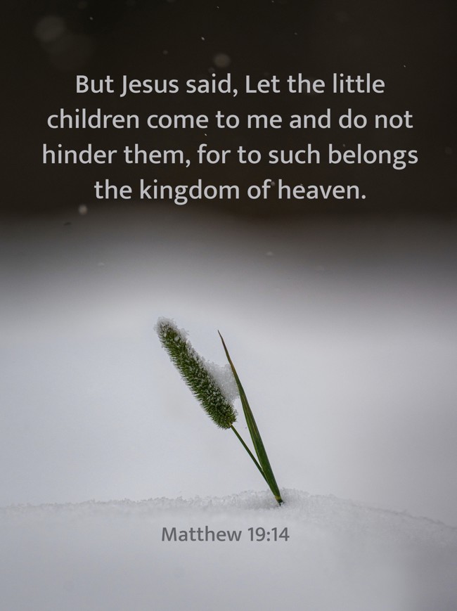 But Jesus said, Let the little children come to me and do not hinder them, for to such belongs the kingdom of heaven. - Matthew 19:14