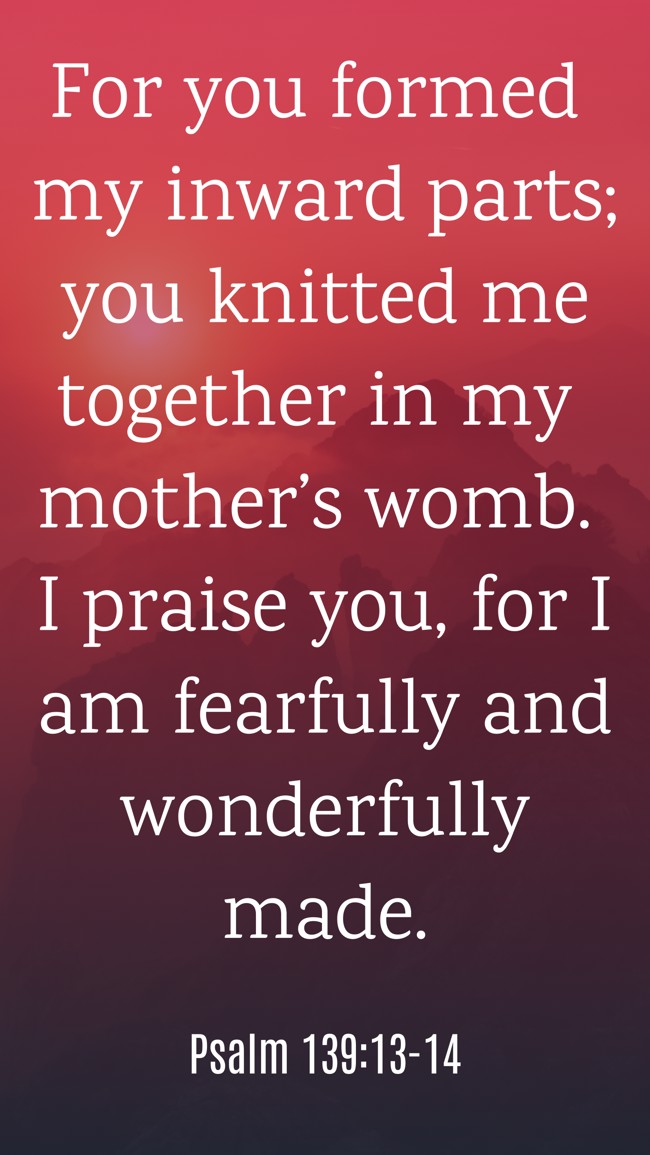 For you formed my inward parts; you knitted me together in my mother’s womb. I praise you, for I am fearfully and wonderfully made. - Psalm 139:13-14