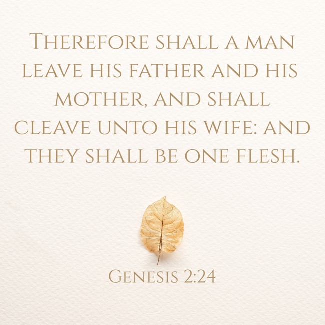  Therefore shall a man leave his father and his mother, and shall cleave unto his wife: and they shall be one flesh.   - Genesis 2:24 