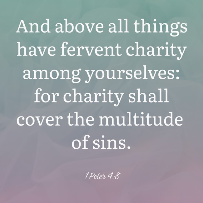  And above all things have fervent charity among yourselves: for charity shall cover the multitude of sins.   - 1 Peter 4:8 
