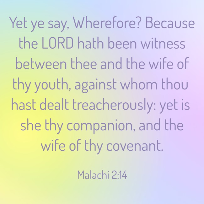  Yet ye say, Wherefore? Because the LORD hath been witness between thee and the wife of thy youth, against whom thou hast dealt treacherously: yet is she thy companion, and the wife of thy covenant.   - Malachi 2:14 