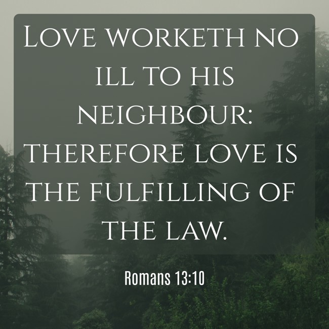  Love worketh no ill to his neighbour: therefore love is the fulfilling of the law.   - Romans 13:10 